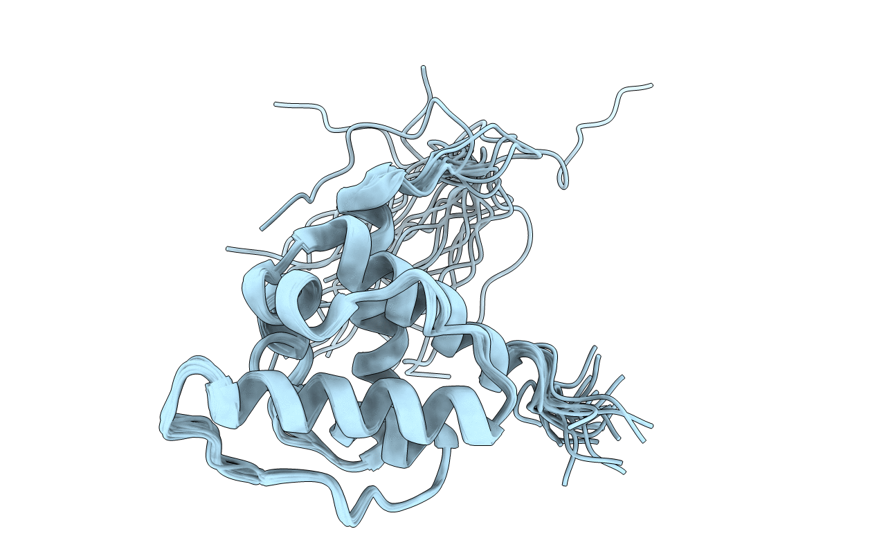2YRN image