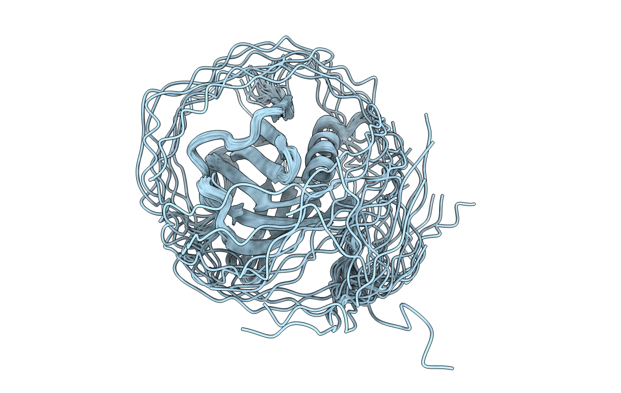 2YT2 image