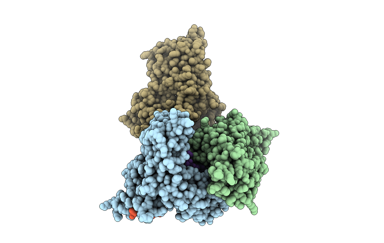 2YVC image