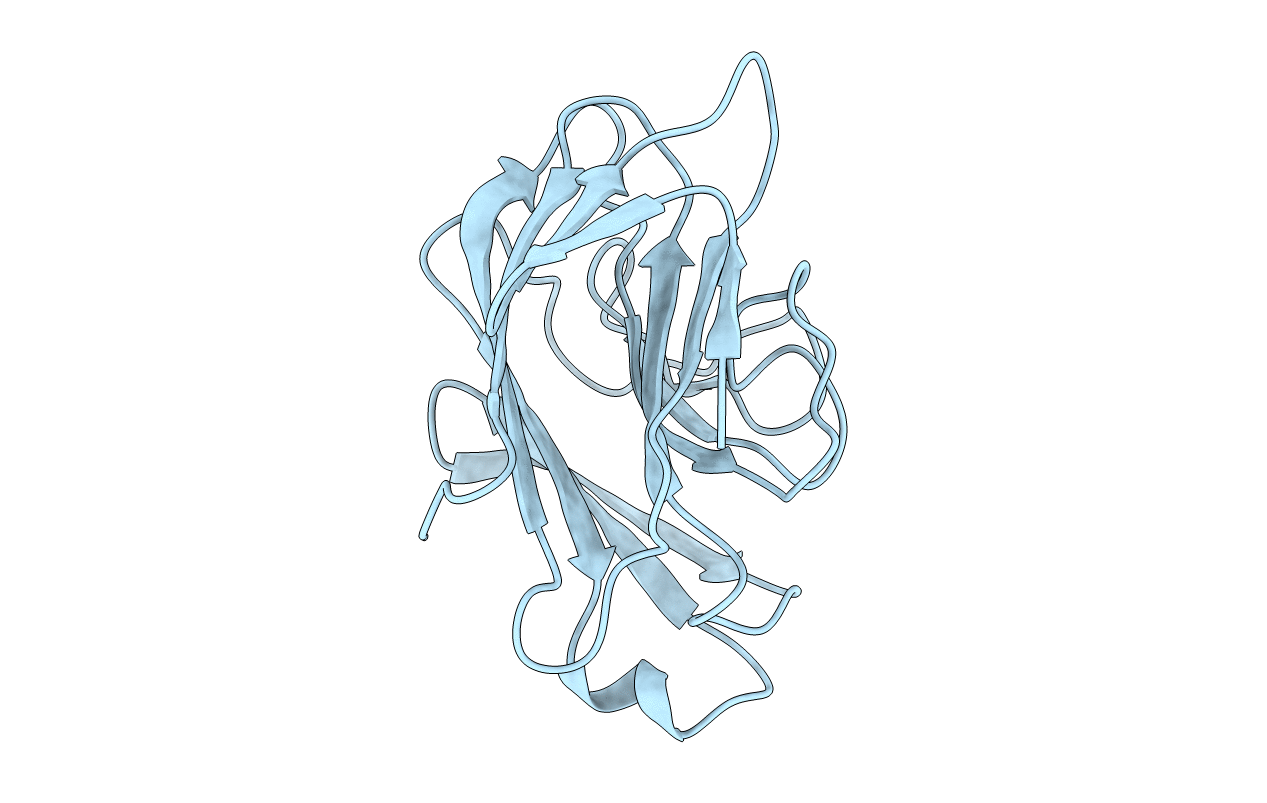 2YYO image