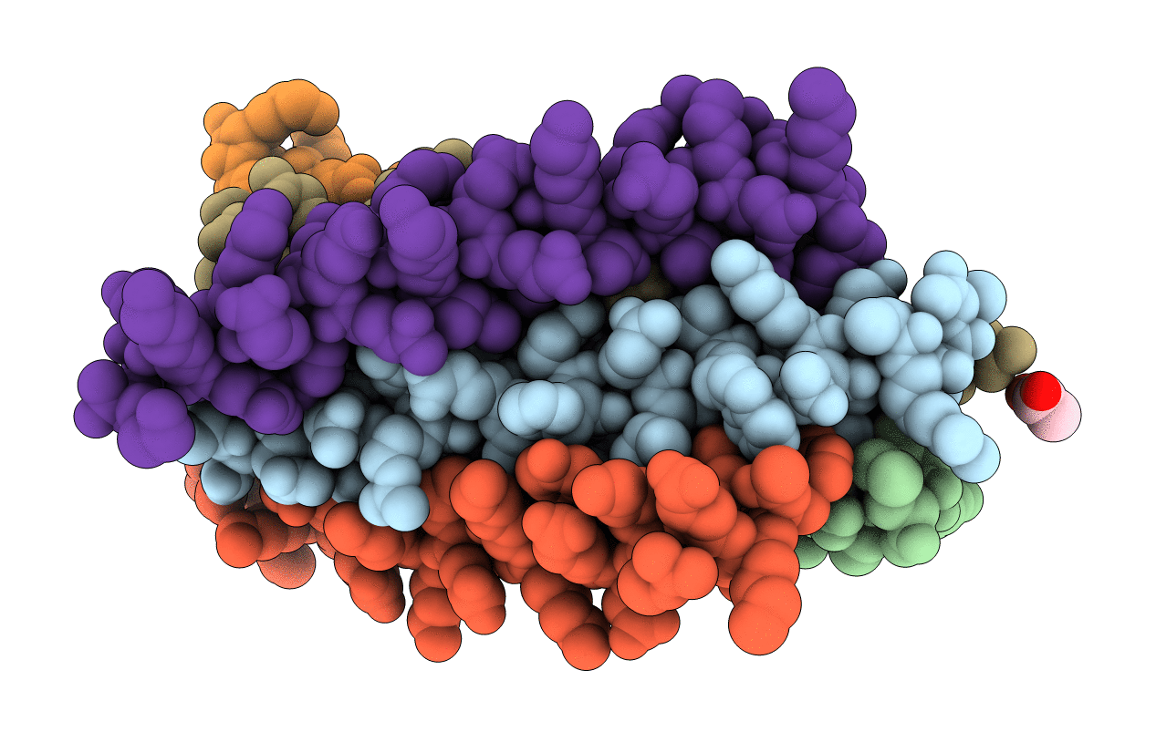 2Z2T image