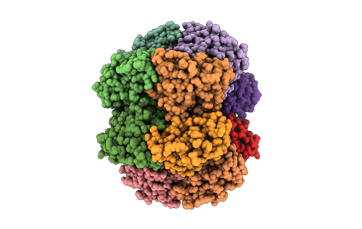 2Z3A image