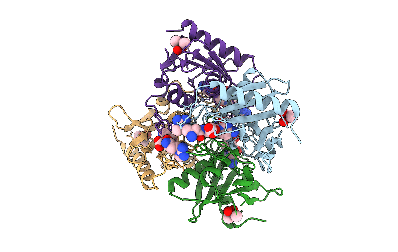 2Z3I image