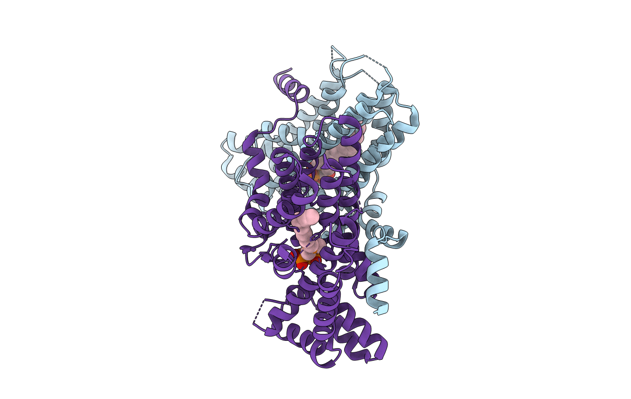 2Z7I image