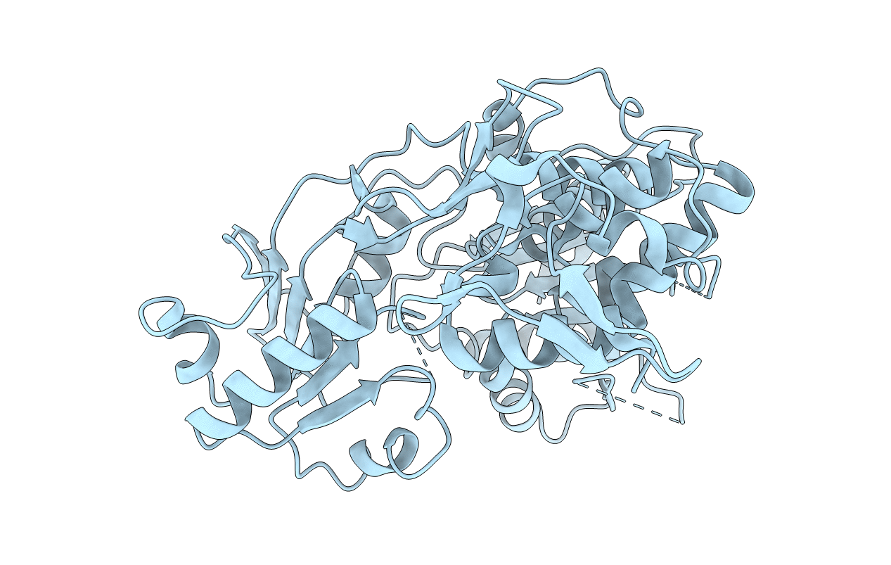 2Z83 image