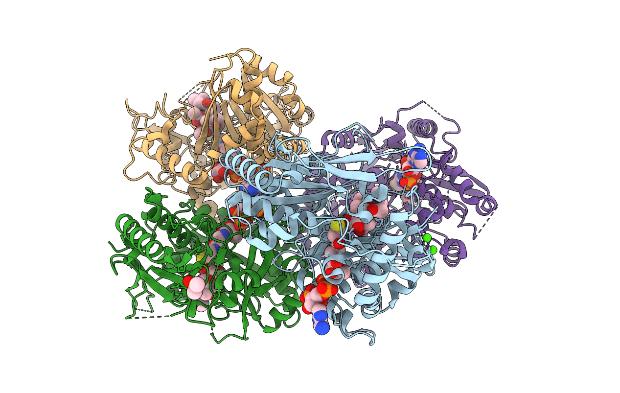 2ZBA image