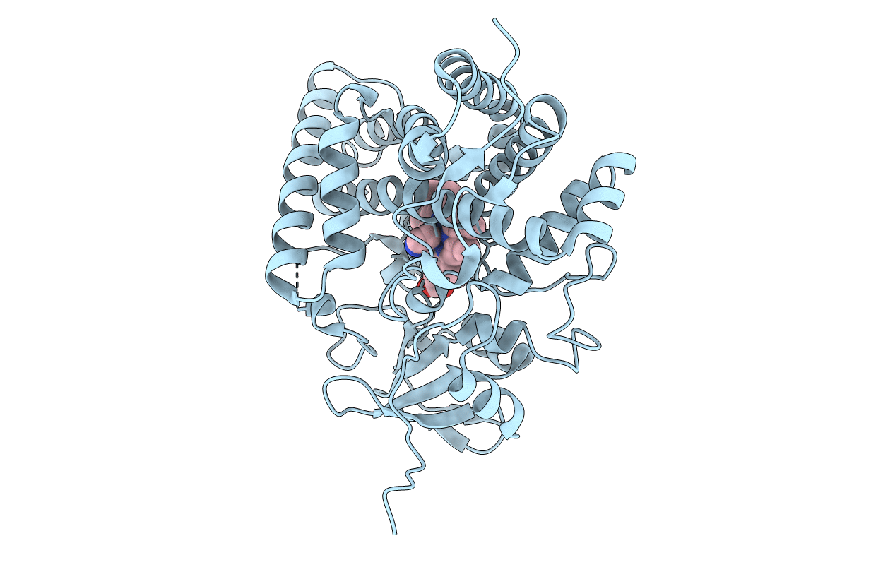 2ZBX image