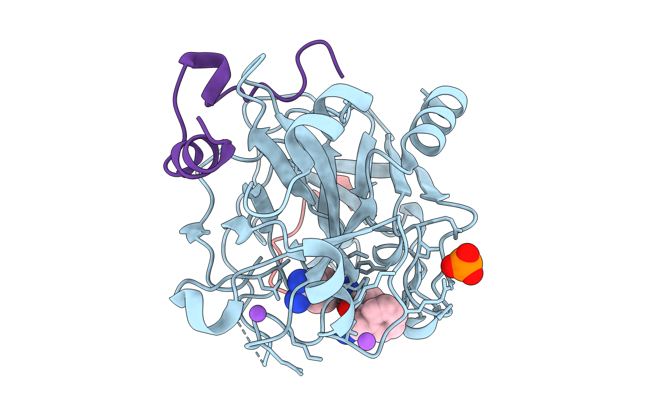 2ZDA image