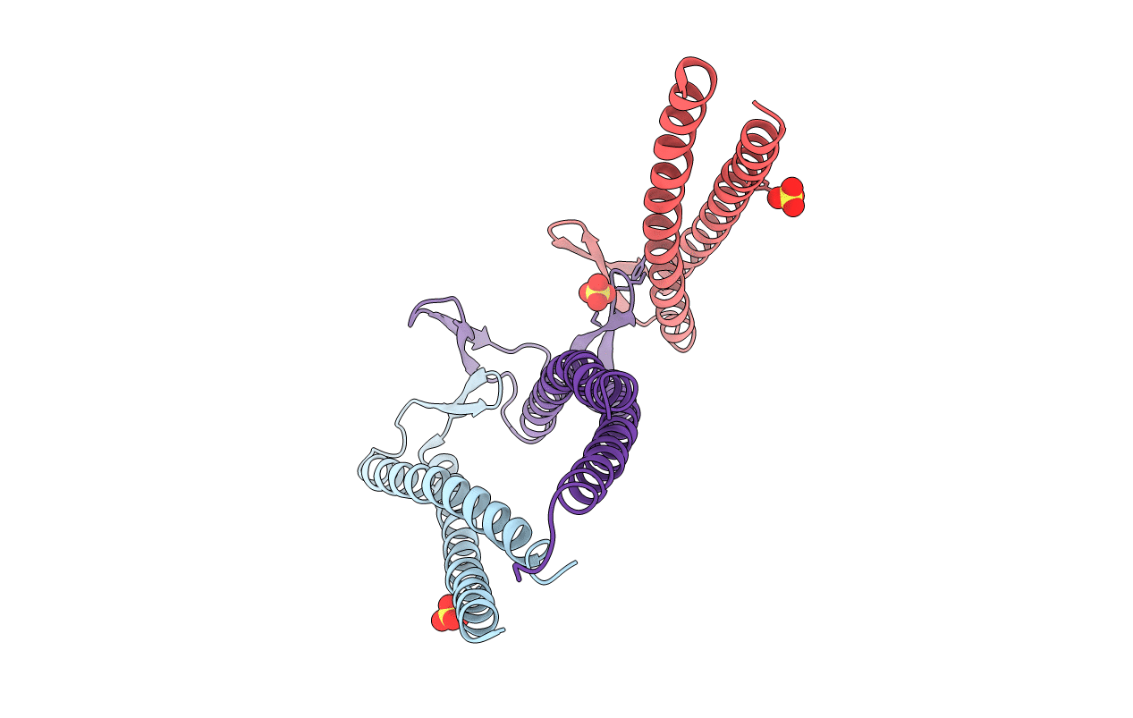 2ZDI image