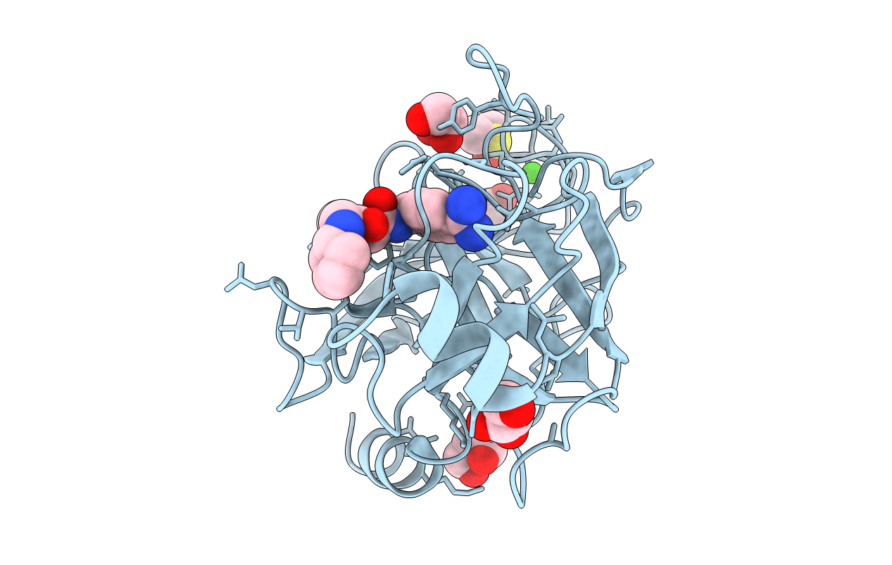 2ZFT image