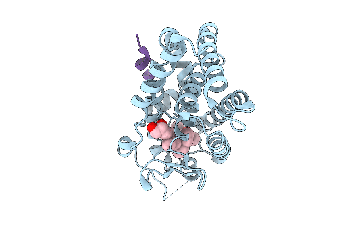 2ZFX image