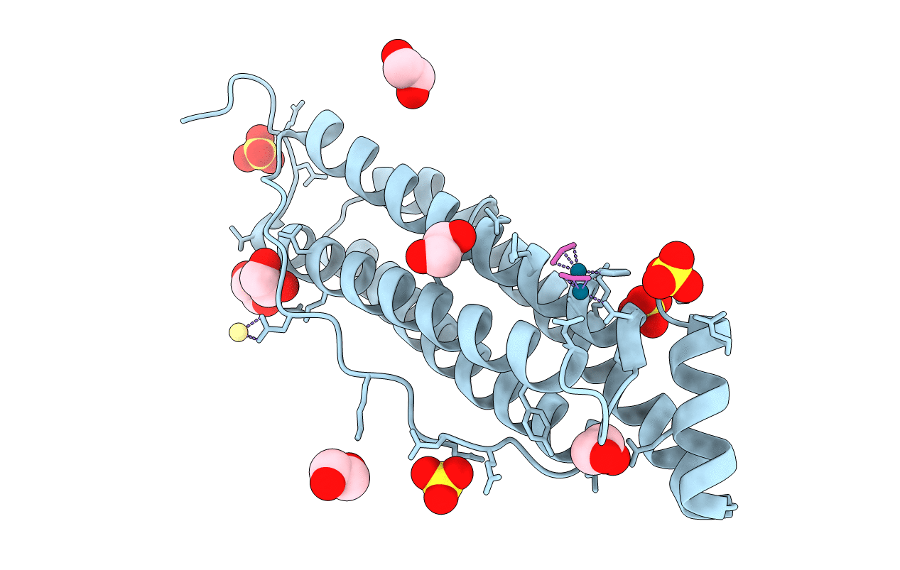 2ZG9 image