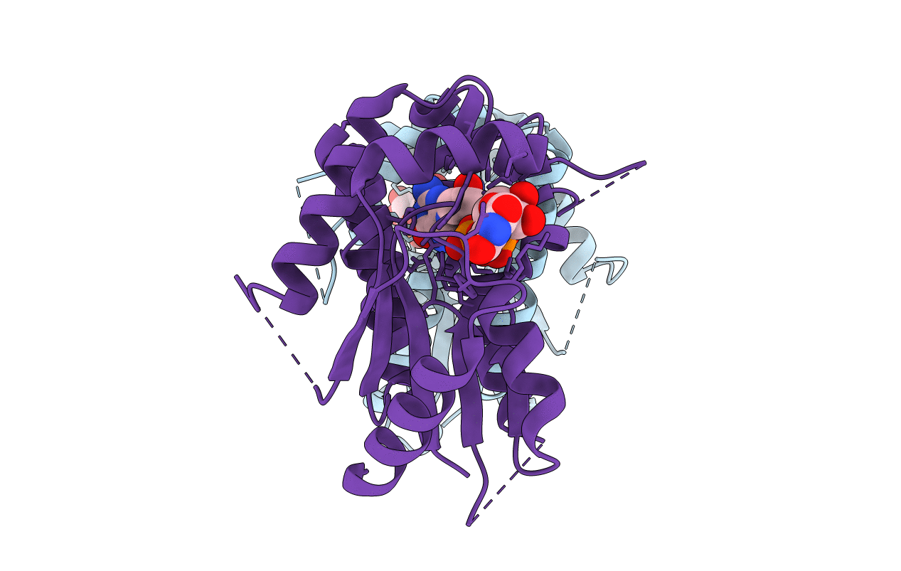 2ZI7 image