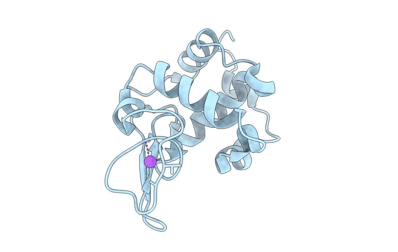2ZIL image