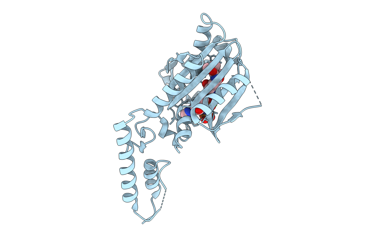 2ZIN image