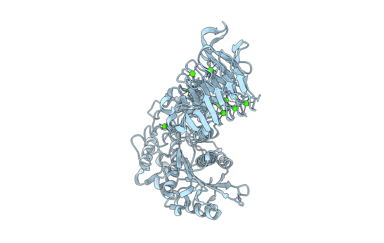 2ZJ6 image