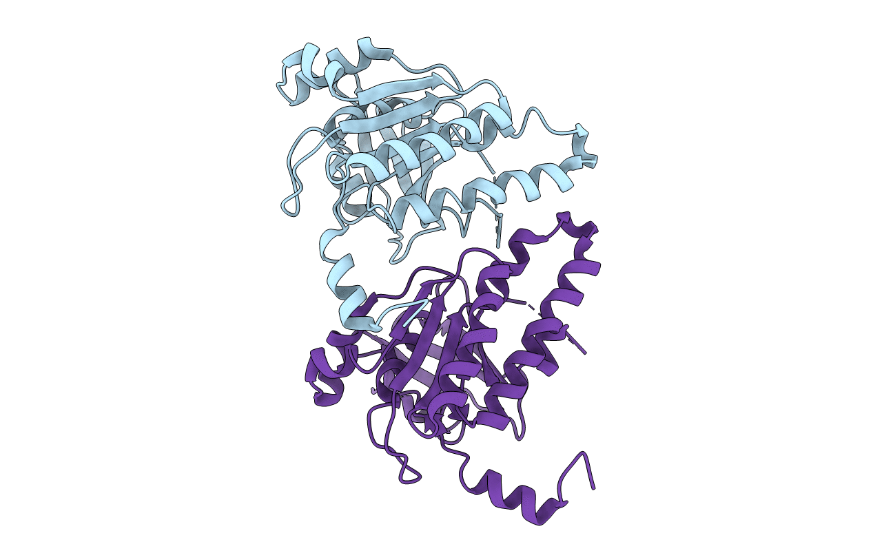 2ZJB image