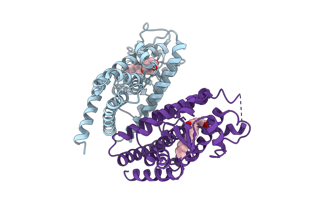 2ZK3 image