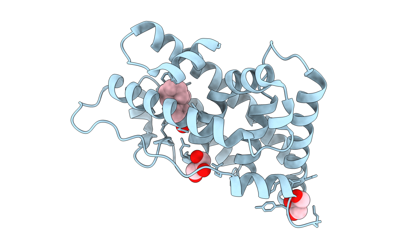 2ZKC image