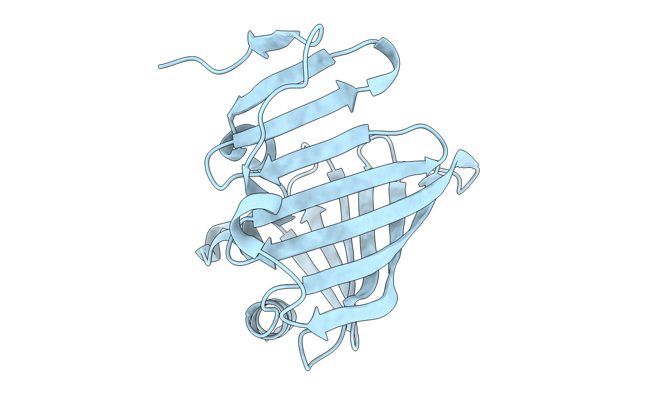 2ZPD image