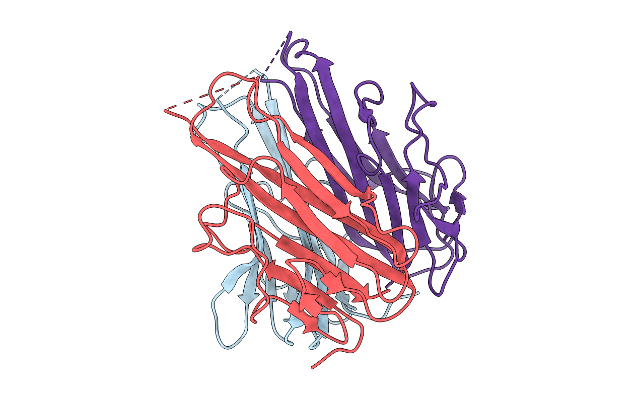 2ZPX image