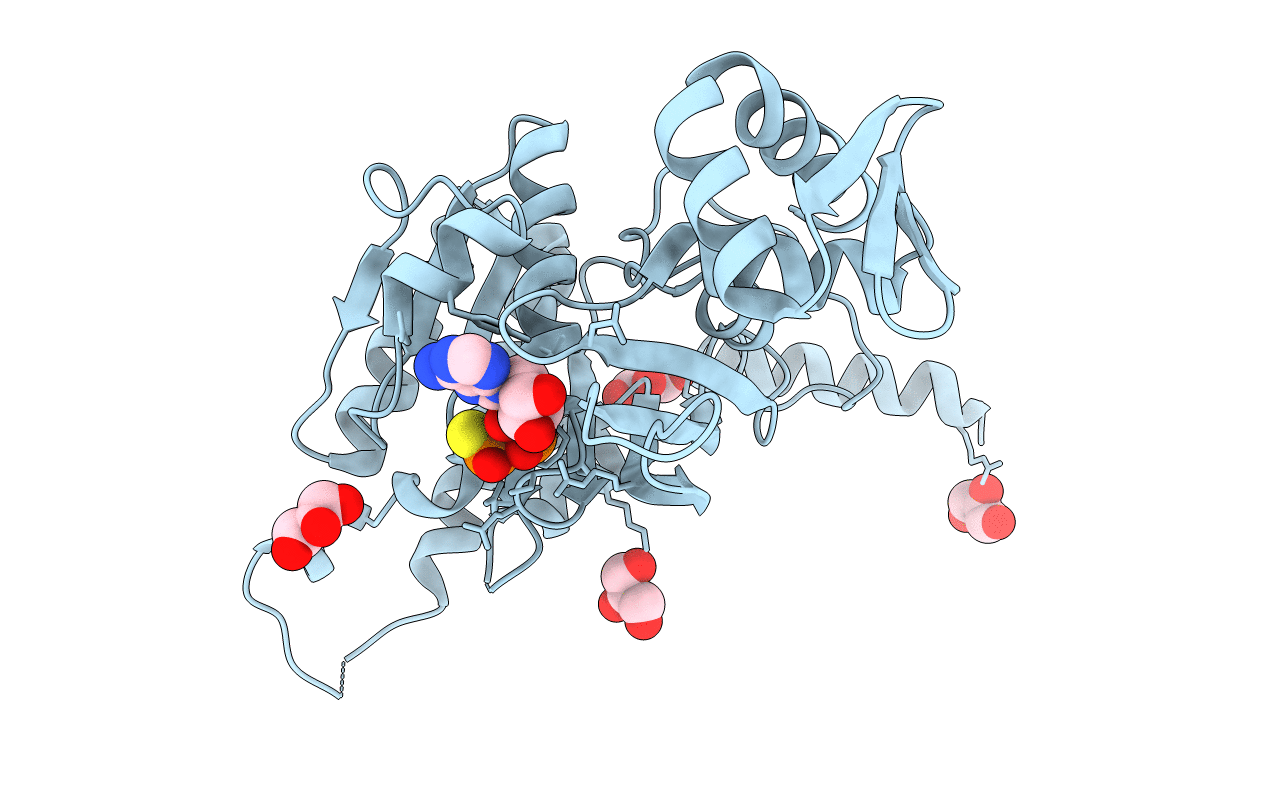 2ZRA image