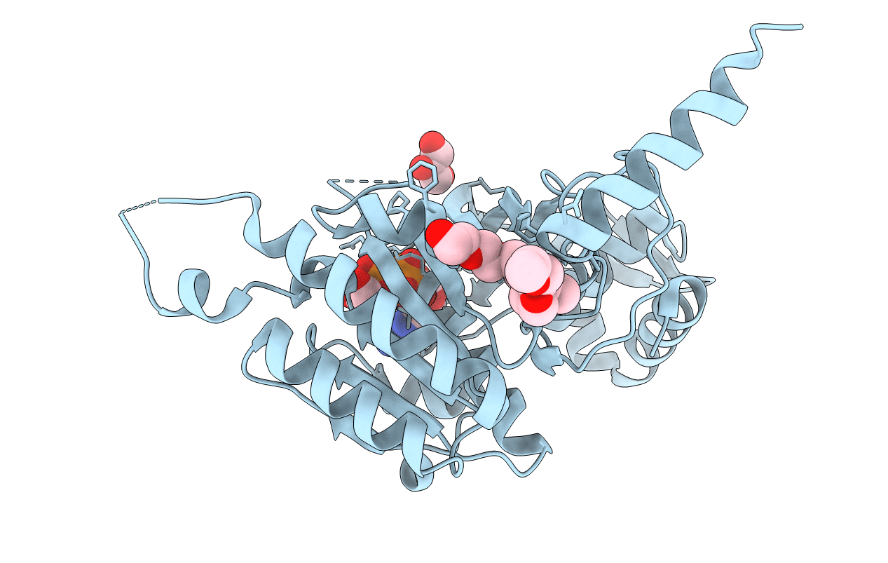2ZRJ image