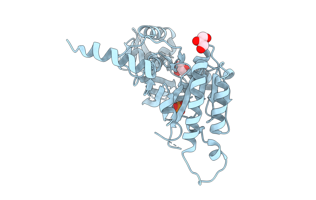 2ZRN image
