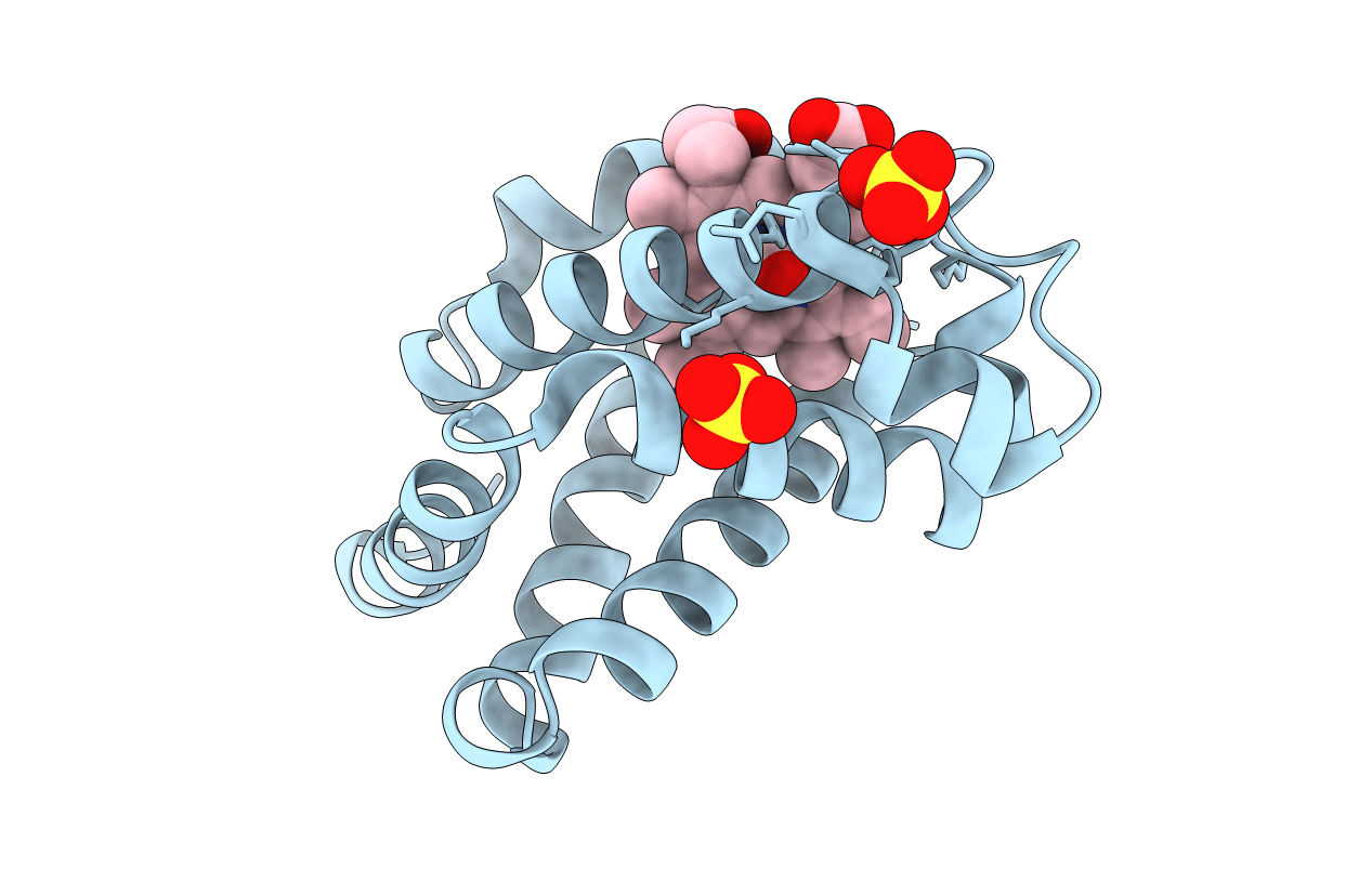 2ZSN image
