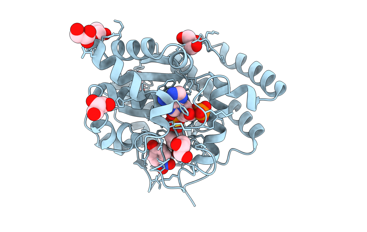 2ZYV image