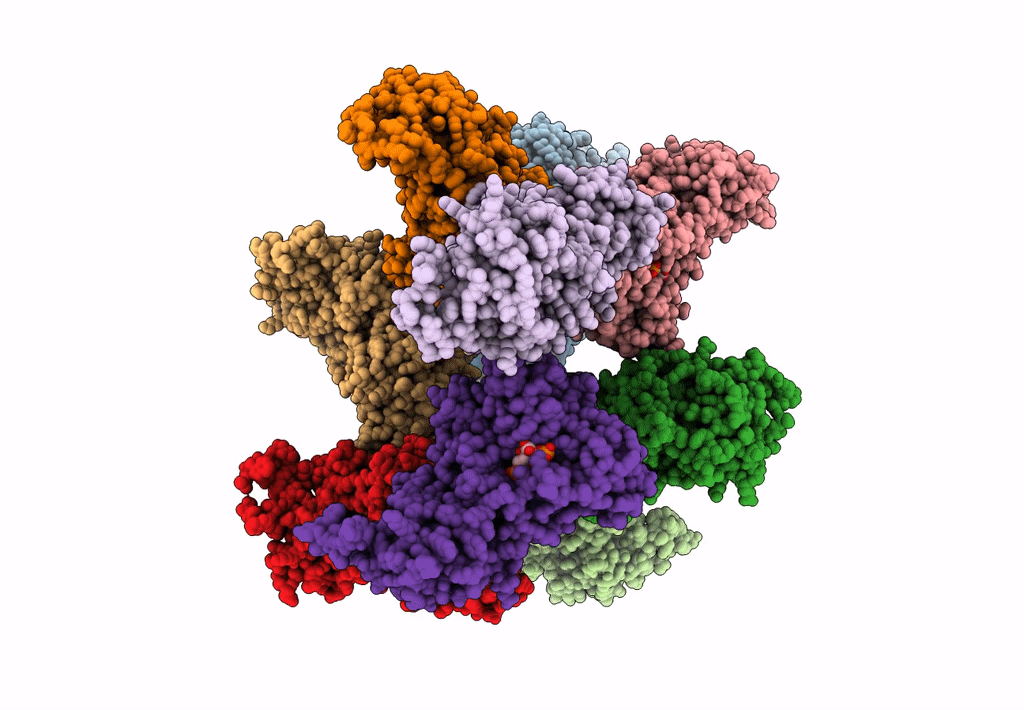 3A12 image