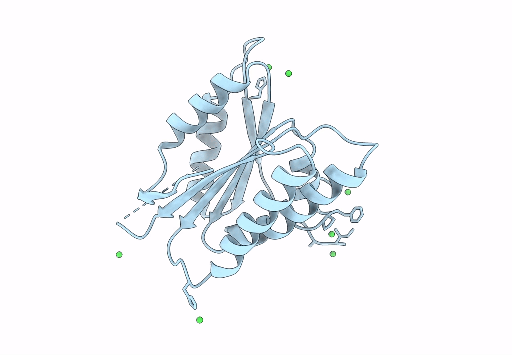 3A1F image