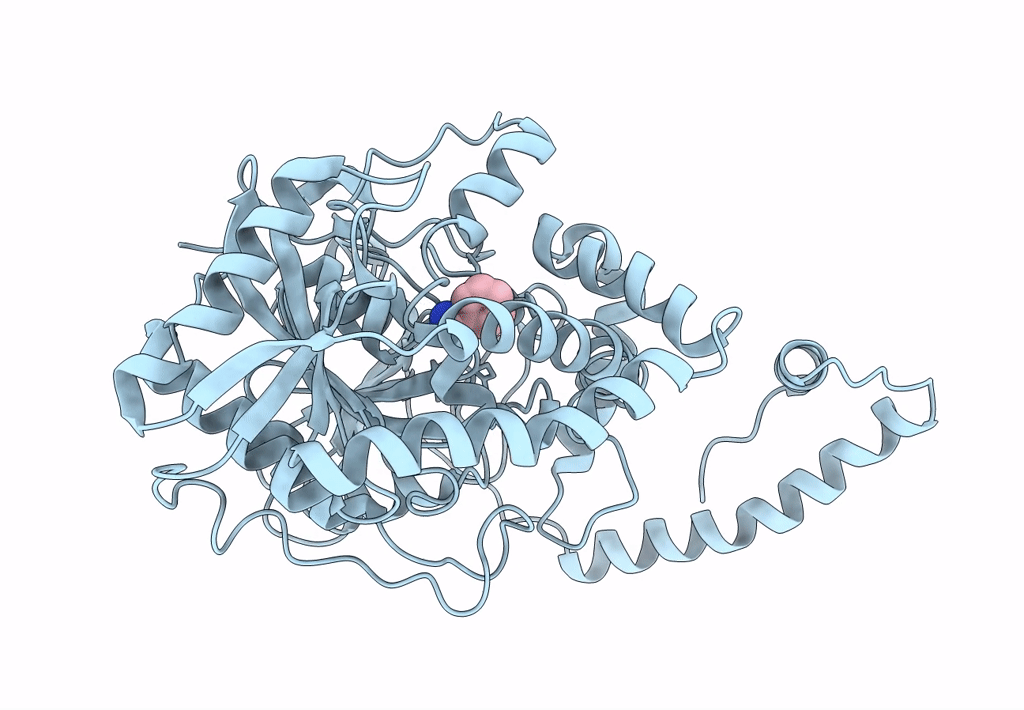 3A1I image