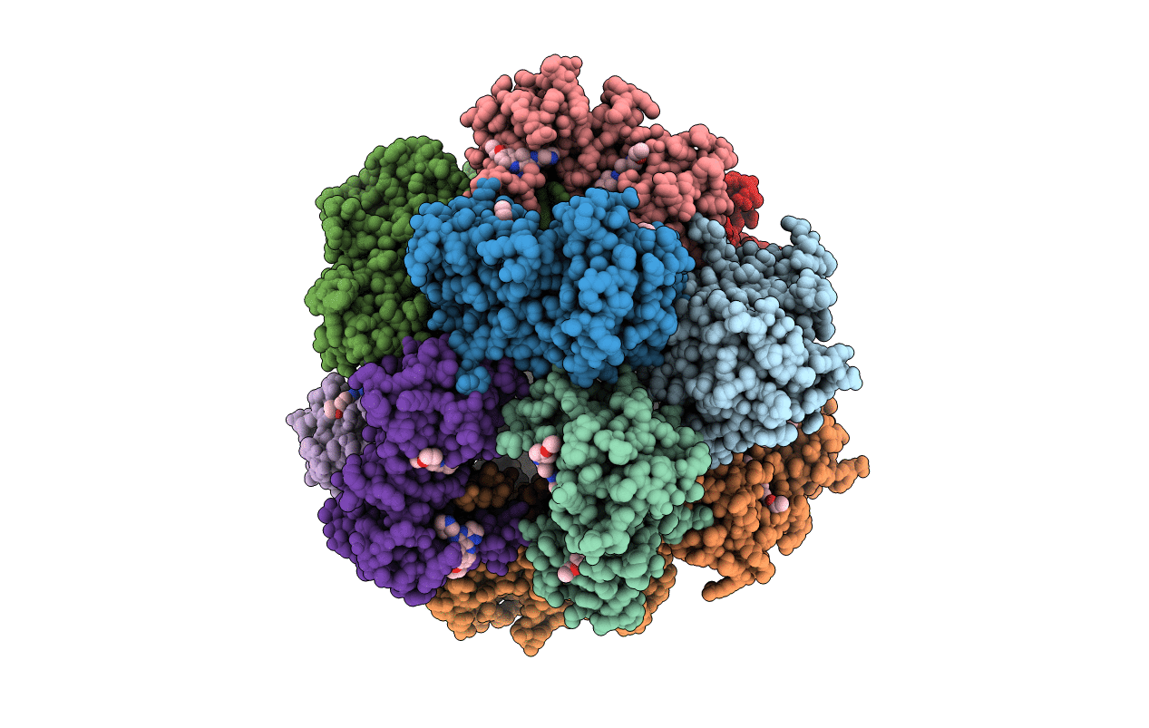 3A2C image