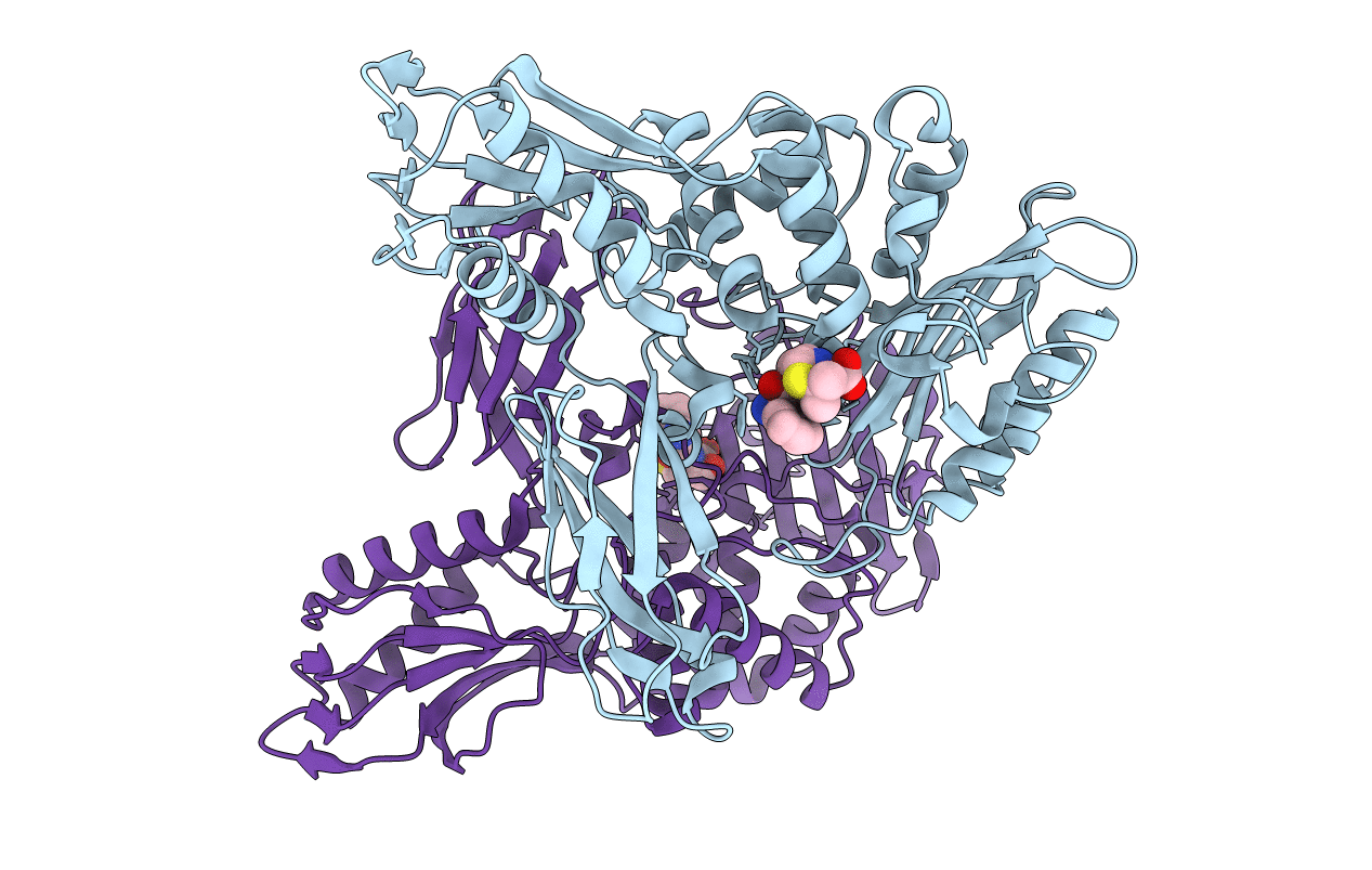 3A3I image