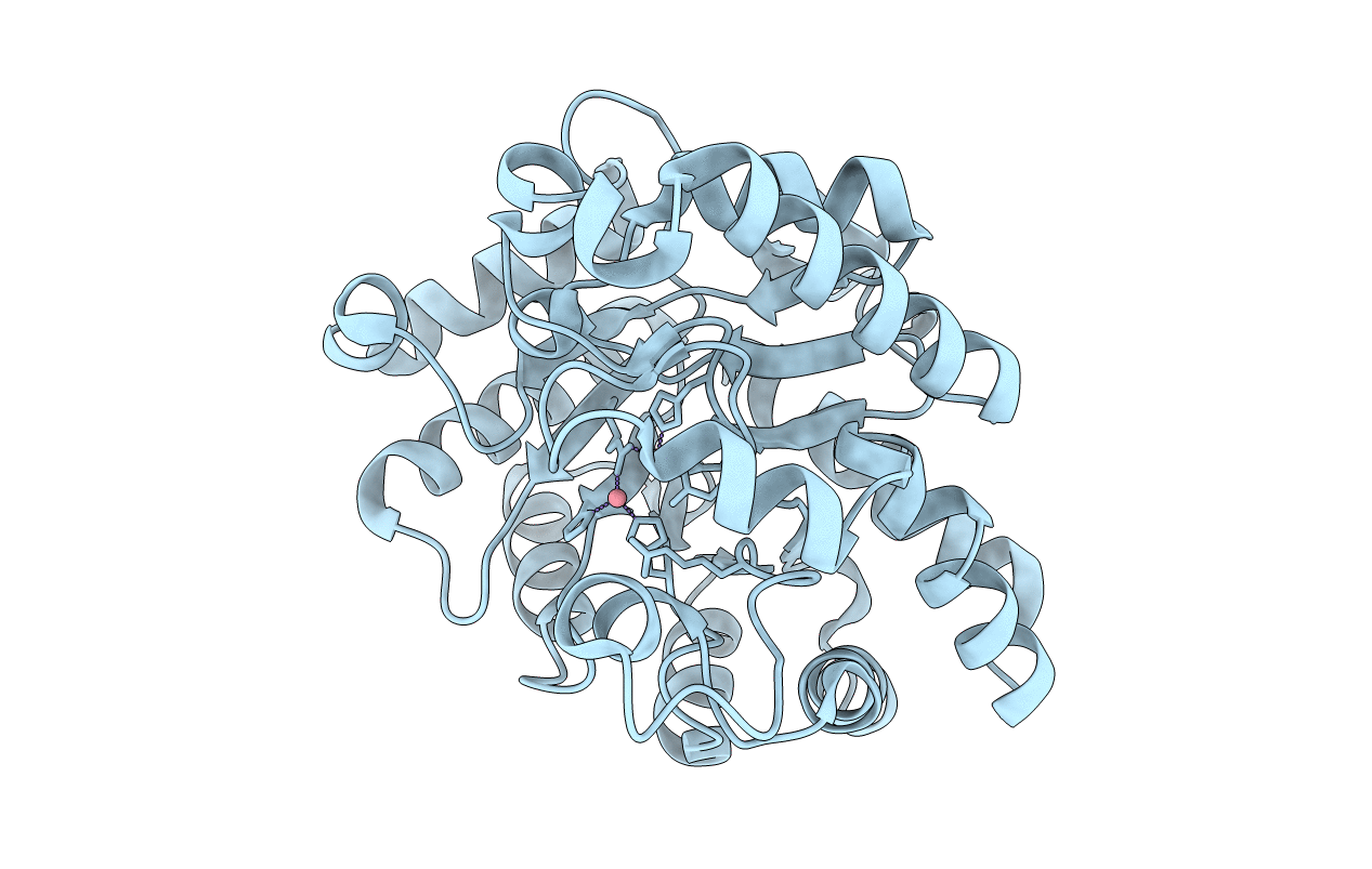 3A3X image