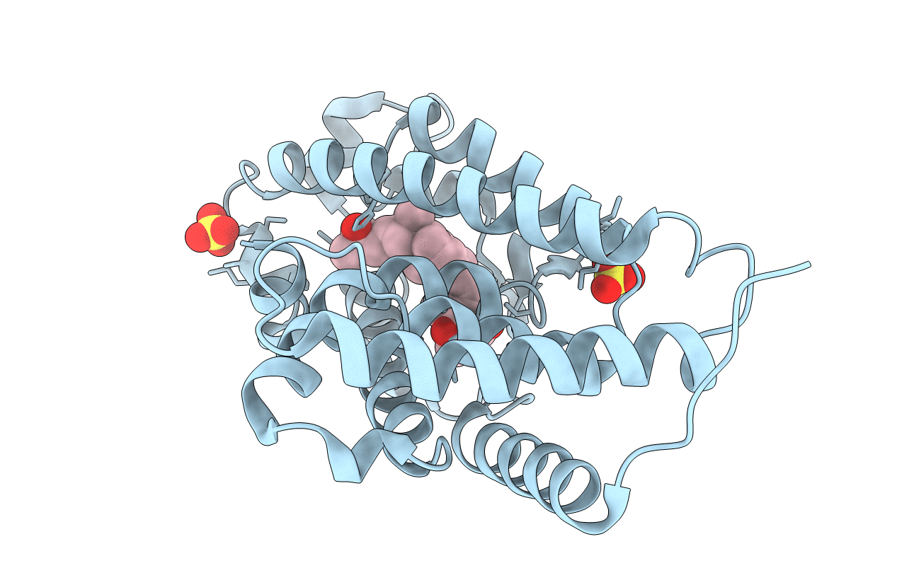 3A3Z image