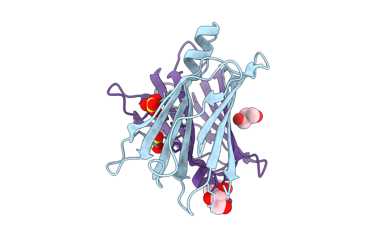3A4D image