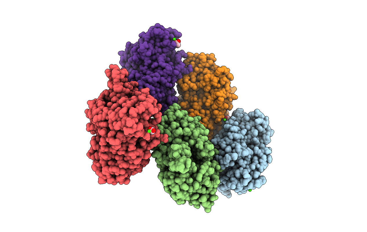 3A4Z image