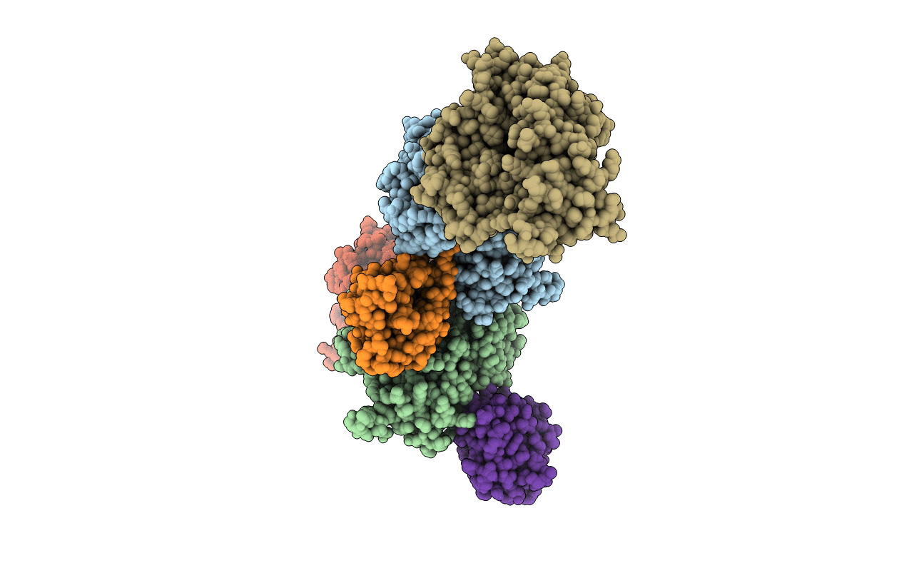 3A8J image