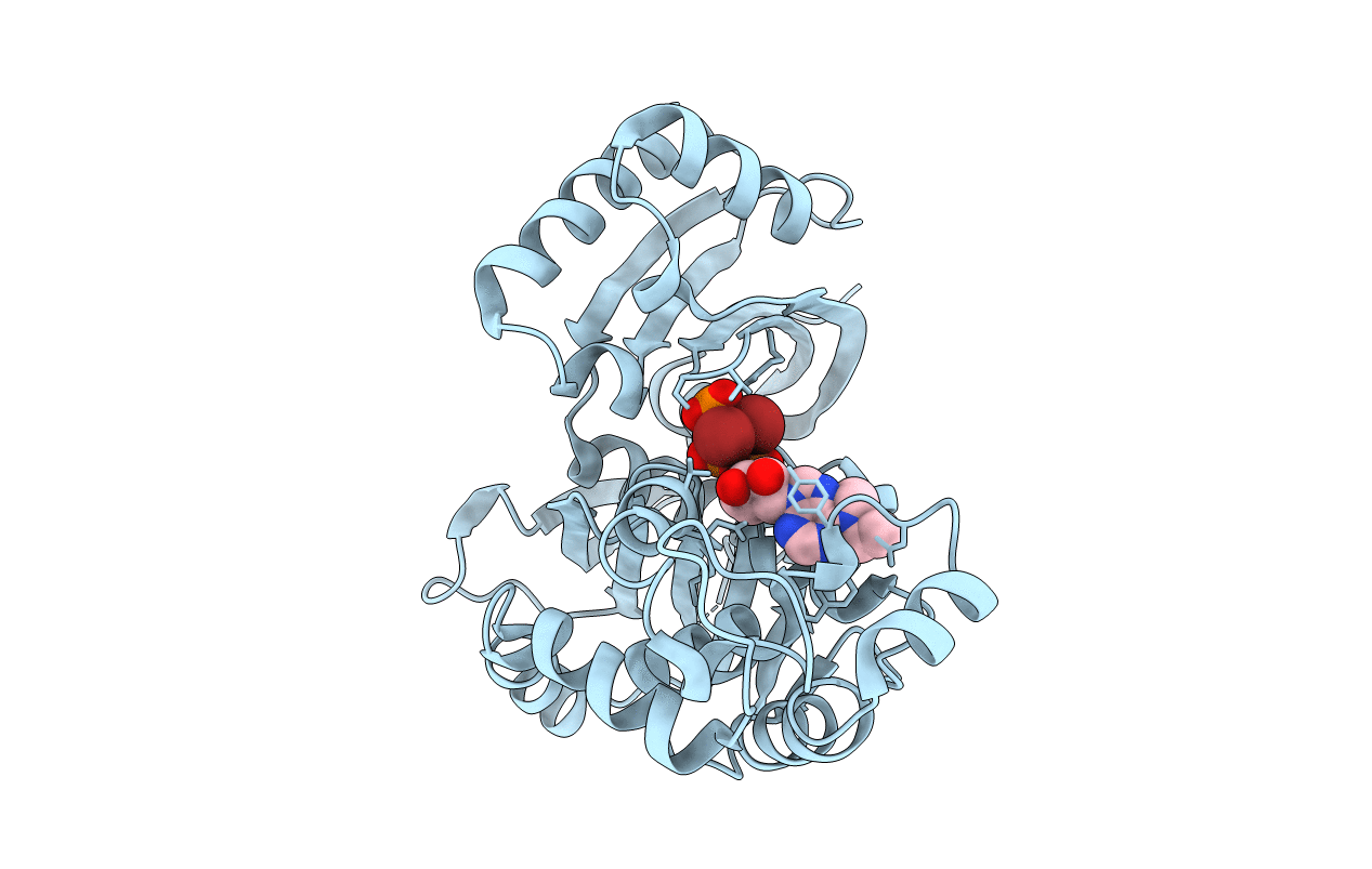 3AAQ image
