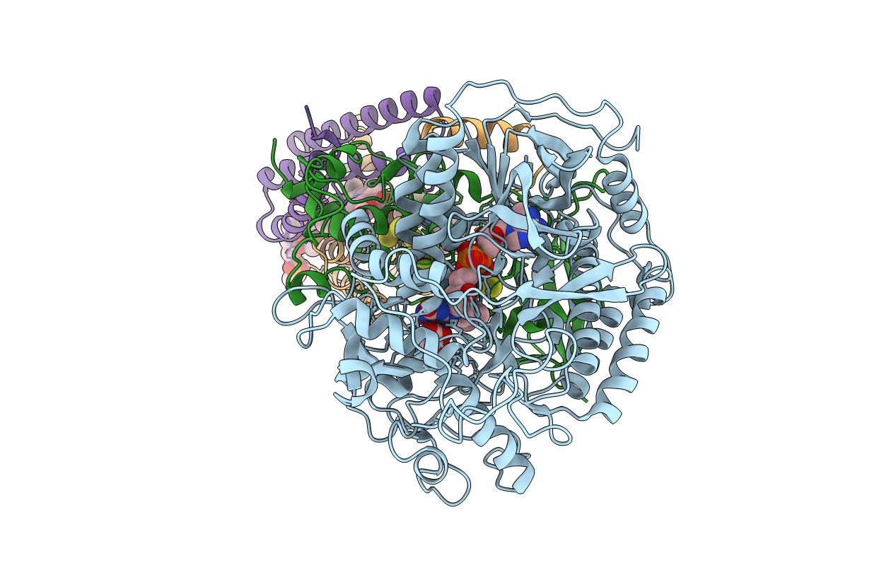 3AEA image