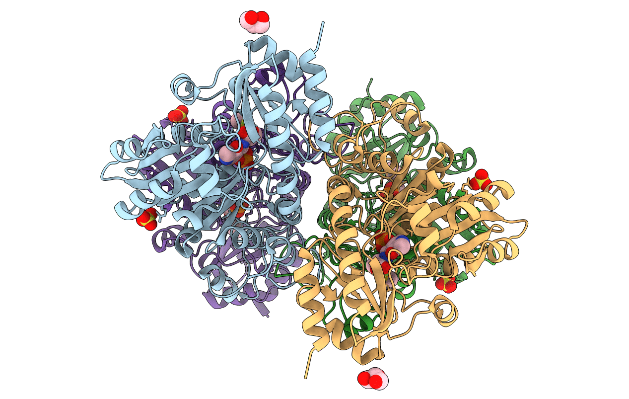 3AEP image