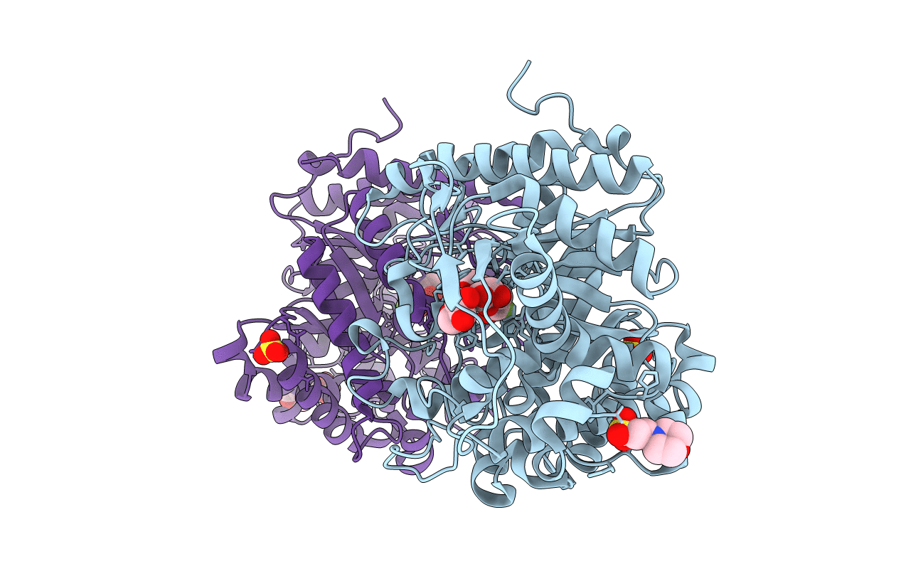 3AHV image