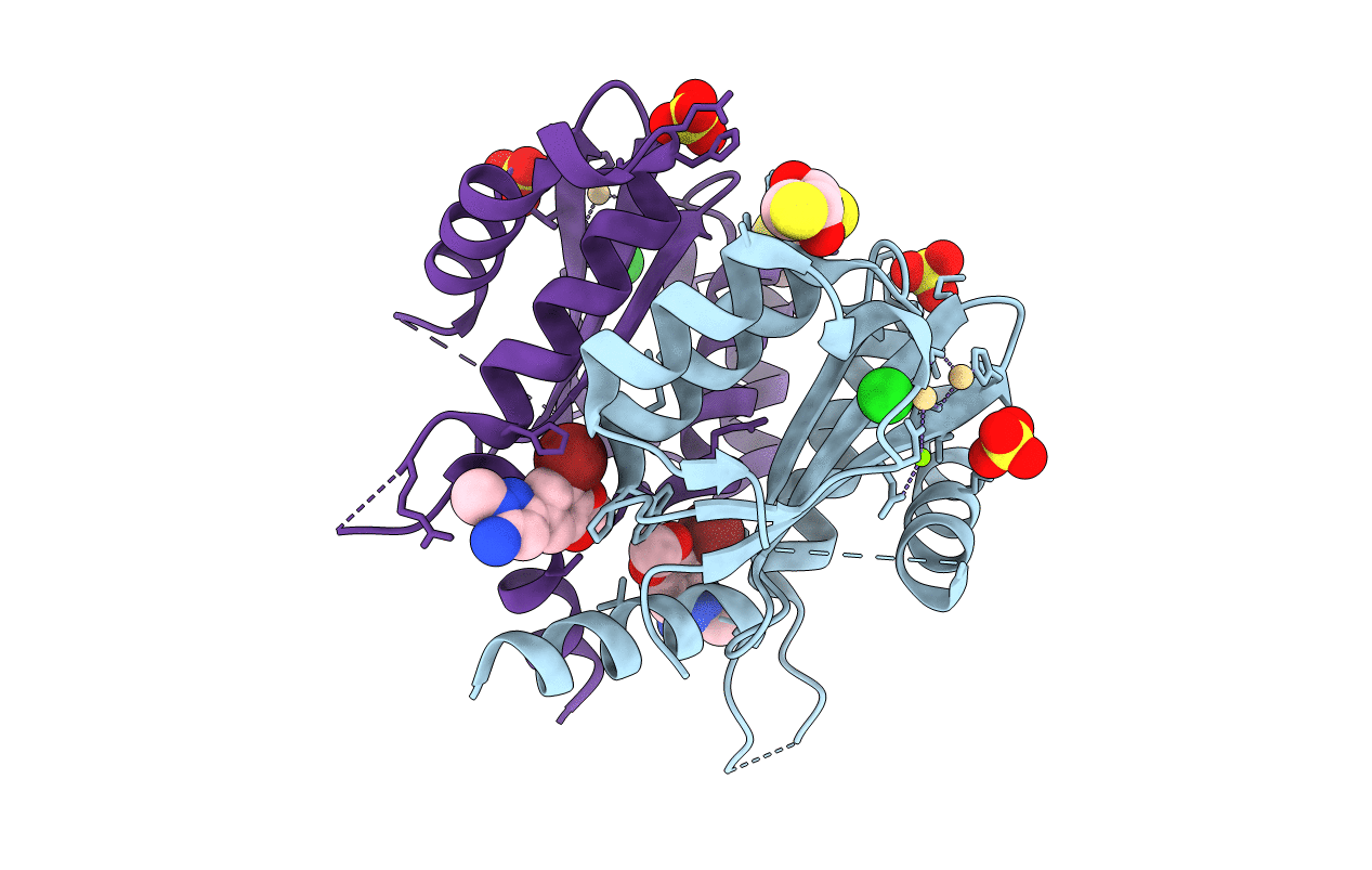 3AO2 image