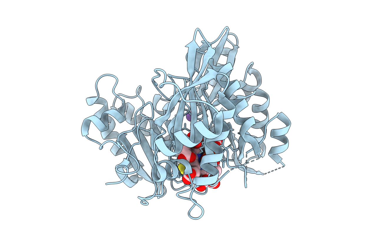 3AOP image