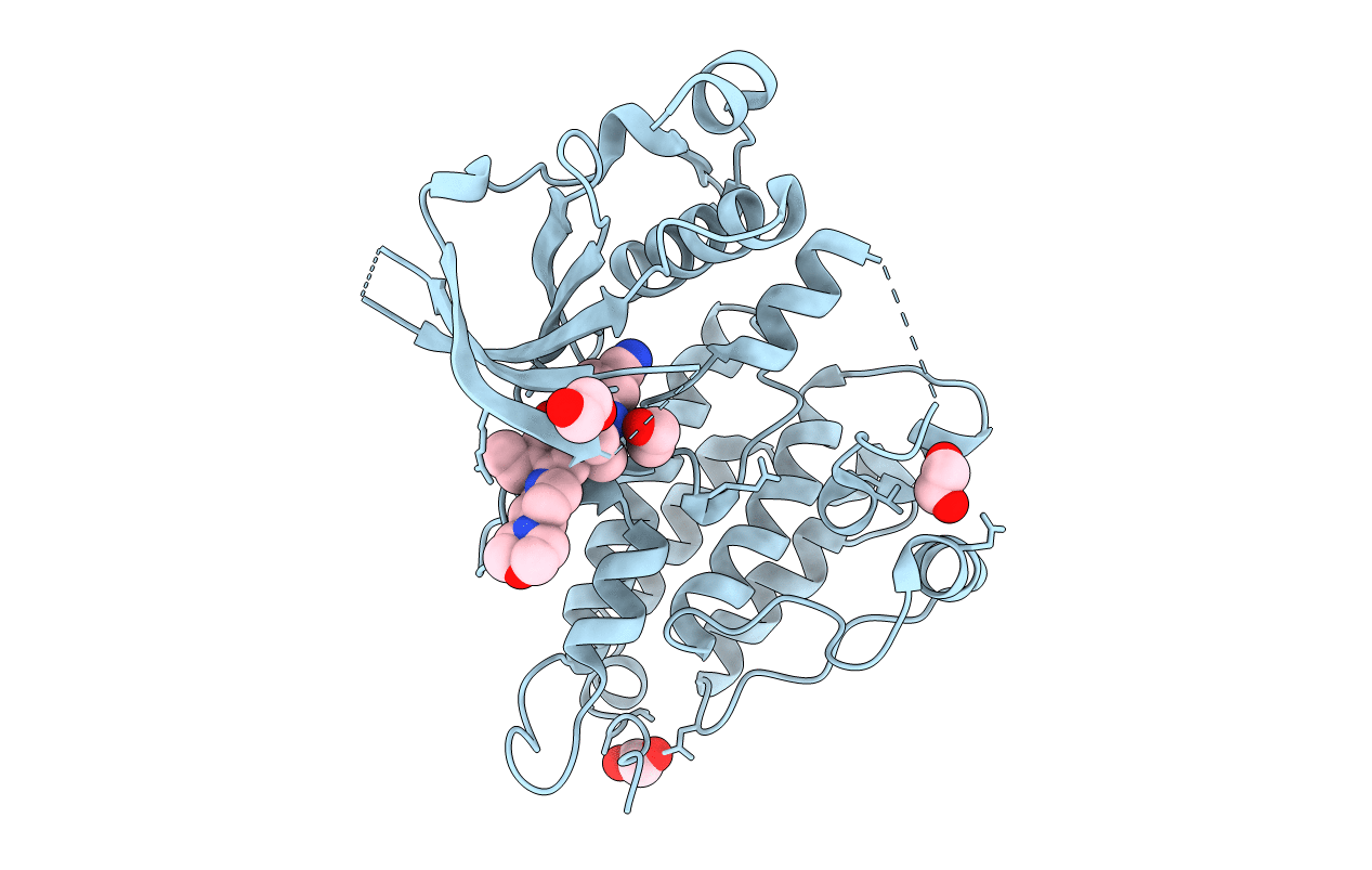 3AOX image