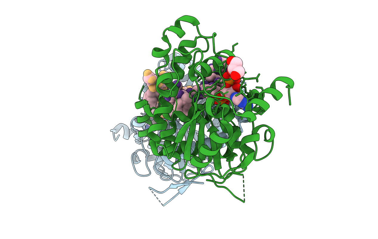 3AP2 image