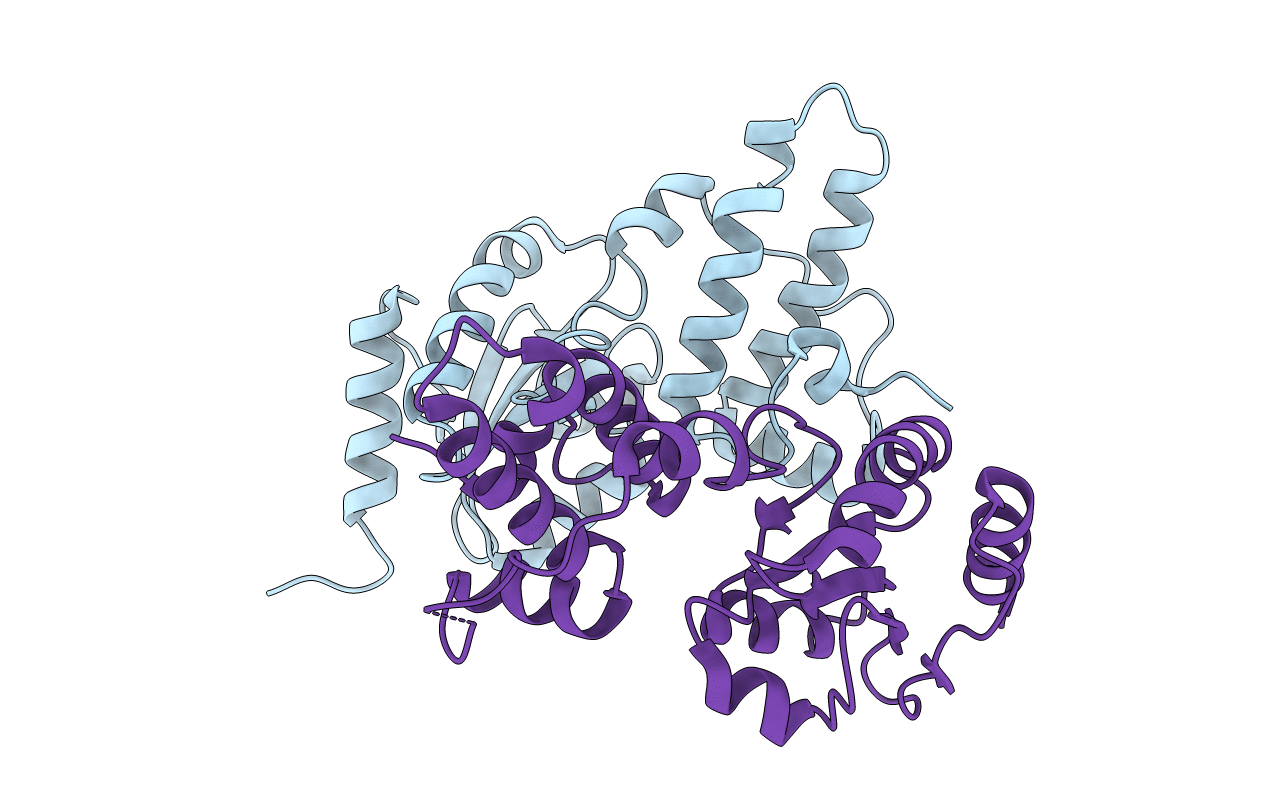 3APQ image
