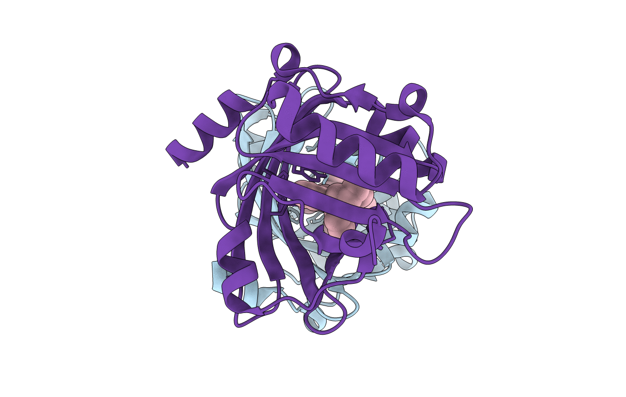 3APV image